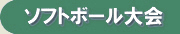 �\�t�g�{�[�����