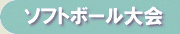 �\�t�g�{�[�����