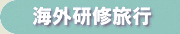 �C�O���C���s